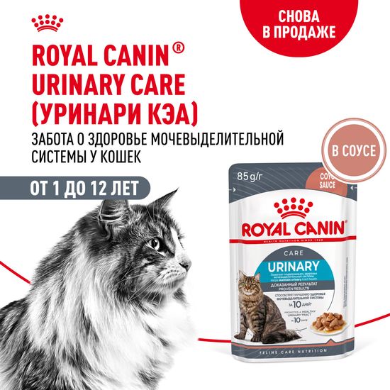 ROYAL CANIN Уринари Кэа пауч для взрослых кошек, профилактика МКБ, кусочки в соусе, 85 г