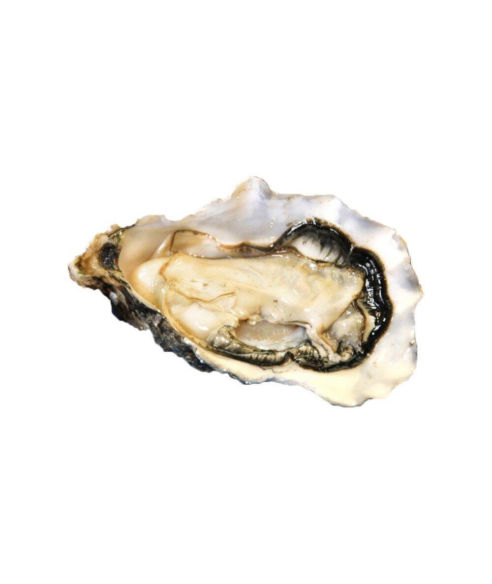 Живая Устрица Изинья №3 Франция