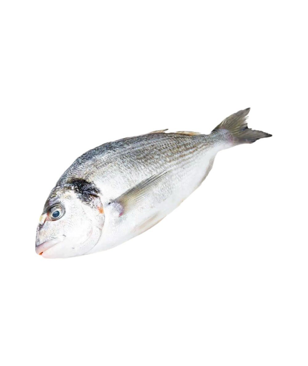 Дорадо охложденный