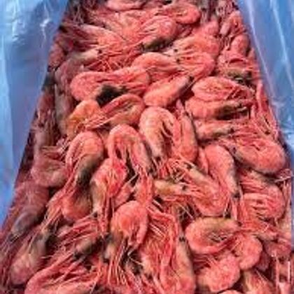 Креветка северная РФ 120+ в/м