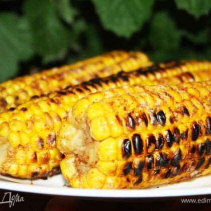 Шашлык из кукурузы