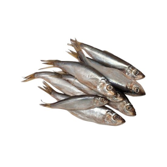 Тюлька холодного копчения