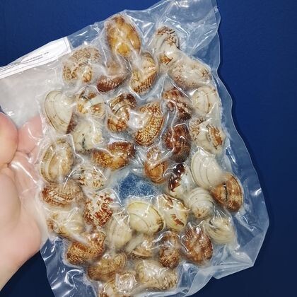 Клемы Вонголе в/м 500 гр