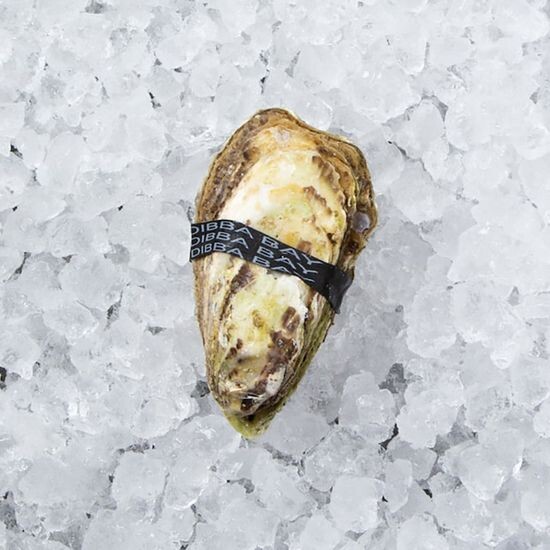 Устрица Дибба Бей №3