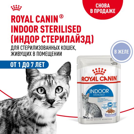 ROYAL CANIN Индор Стерилайзд пауч для стерилизованных домашних кошек, кусочки в желе, 85 г