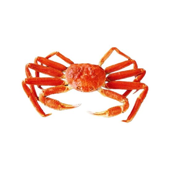 Краб Камчатский «Подарочный»