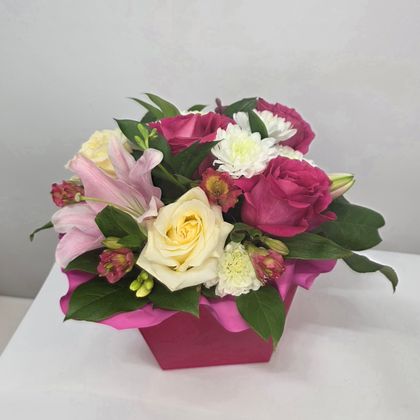 Малиновый сюрприз