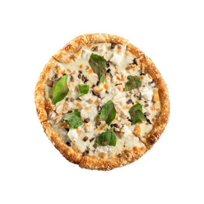 Молчание Цыплят