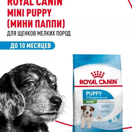 ROYAL CANIN Мини Паппи сухой корм для щенков мелких пород до 10 месяцев, 2 кг