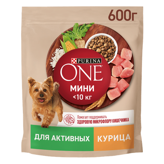 Purina ONE Мини «Активная» сухой корм для собак мелких и карликовых пород, курица с рисом, 600 г (9883)