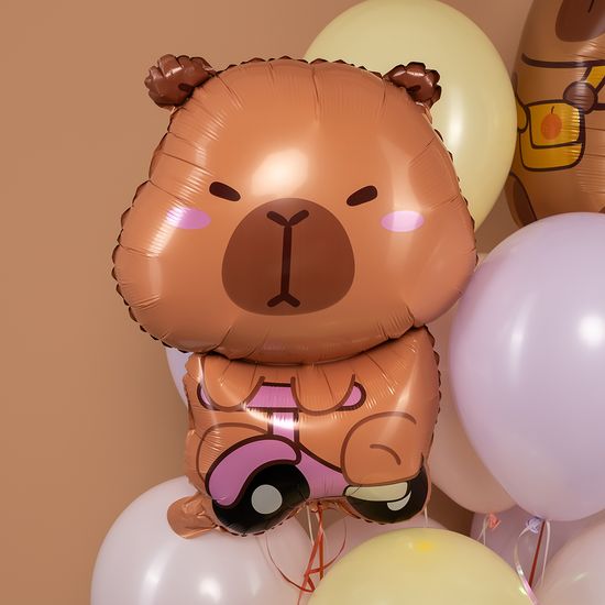 ≈ 66 см, Фигура, Капибара на велосипеде