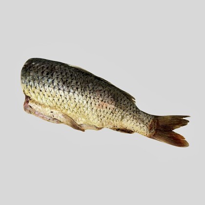 Сазан свежемороженый, кг