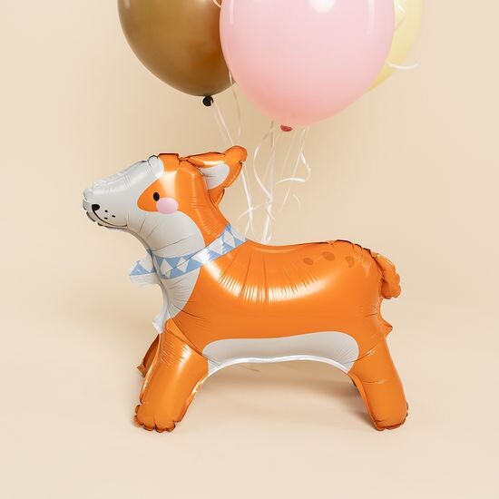 ≈ 55 см, Фигура 3D, Корги