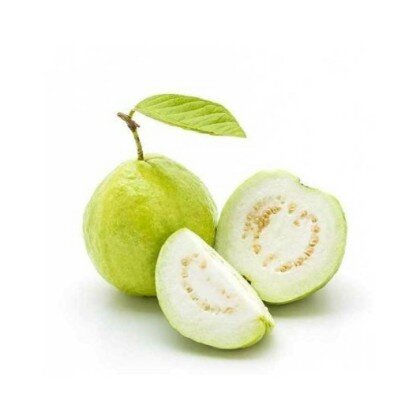 Гуава белая