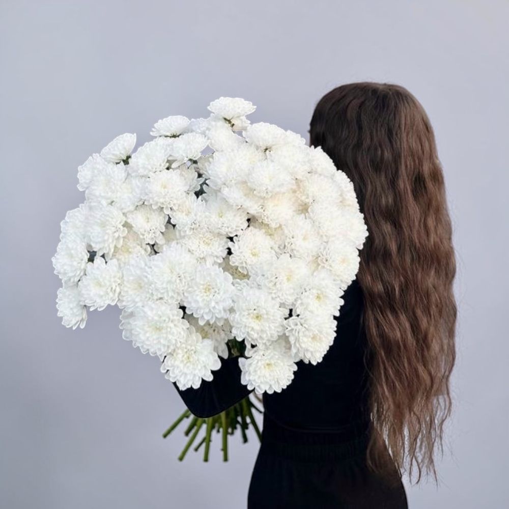 Хризантема кустовая-15