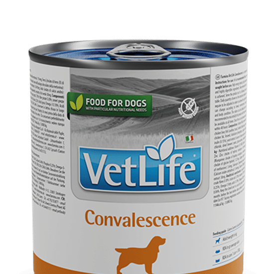 Farmina Vet Life Convalescence консервы для собак, паштет, 300 г