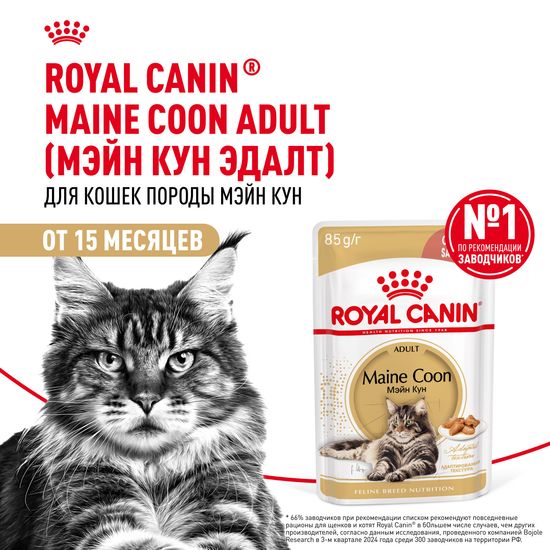 ROYAL CANIN Мейн Кун пауч для взрослых кошек породы мейн-кун, кусочки в соусе, 85 г
