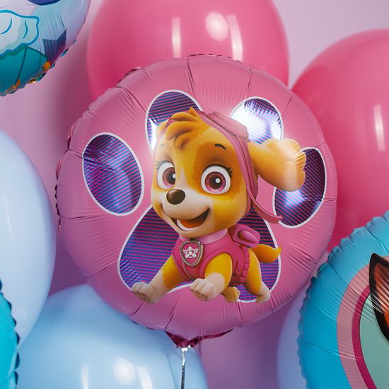 45 см Круг, Щенячий патруль, Скай