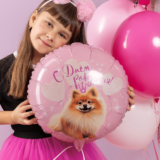 45 см, Круг, С Днем Рождения! (шпиц)