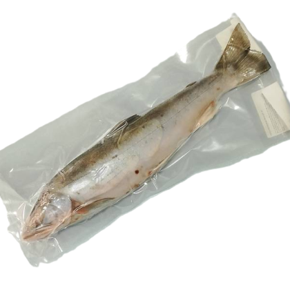 Голец свежемороженый