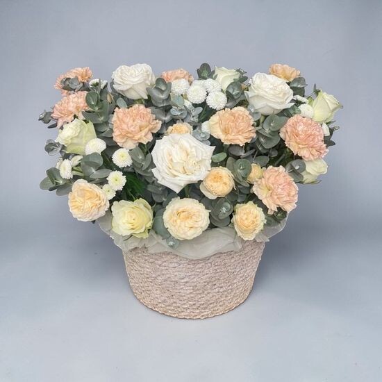 FB004
Ванильное мороженное