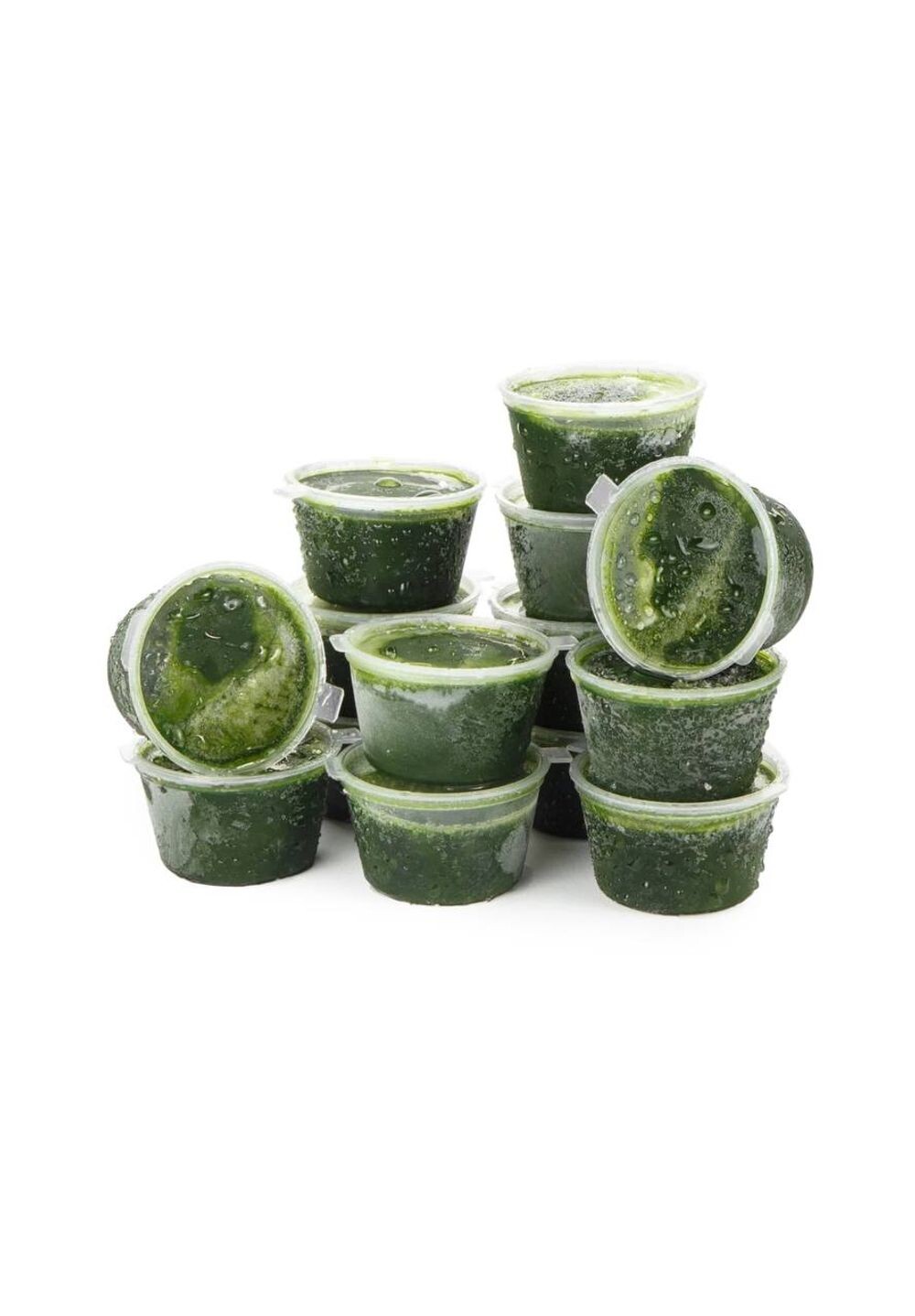 Витграсс 30 дней