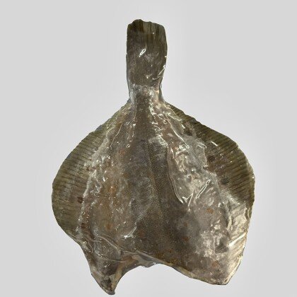 Камбала свежемороженая, кг