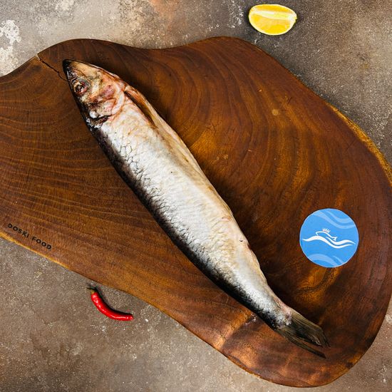 Сельдь Олюторская