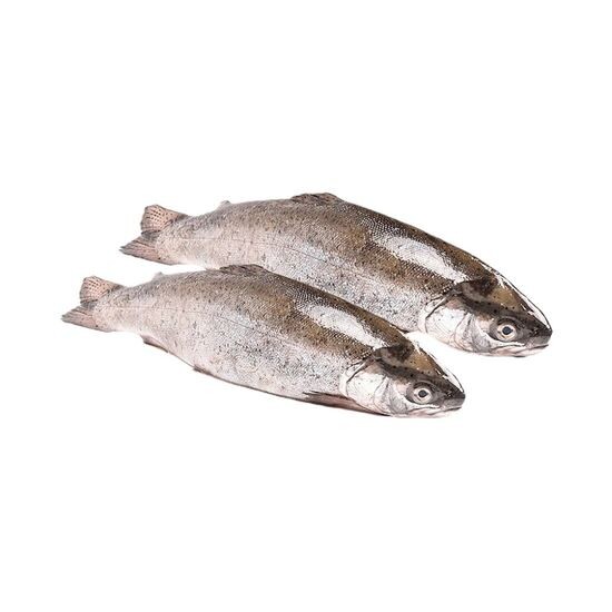 Форель радужная  ПСГ 0,1-1кг свежемороженая