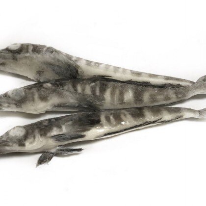 Ледяная  свежемороженая, кг