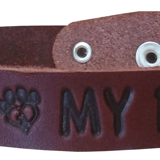 Ошейник кожаный для собак мелких и средних пород, с тиснением «MY DOG», 18 мм, тёмно-коричневый