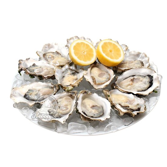 Устрица Белый жемчуг №3