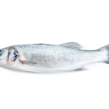 Сибас свежемороженый, кг