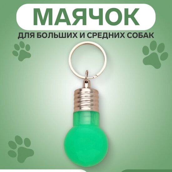 Маячок световой на ошейник для собак, зелёный