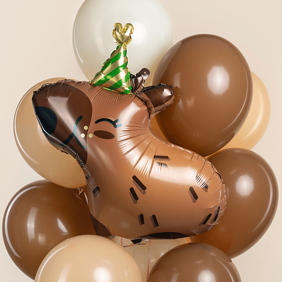 ≈ 78 см, Фигура, Капибара