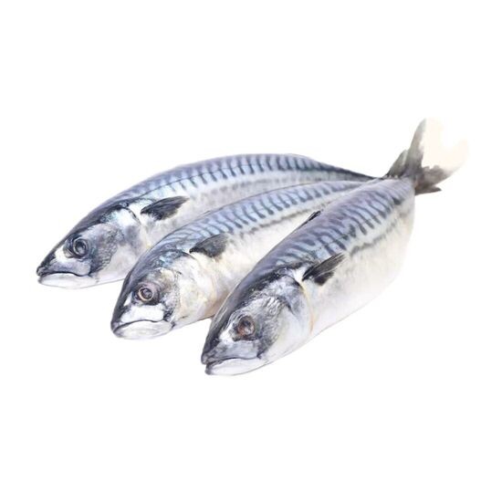 Скумбрия свежемороженая неразделанная