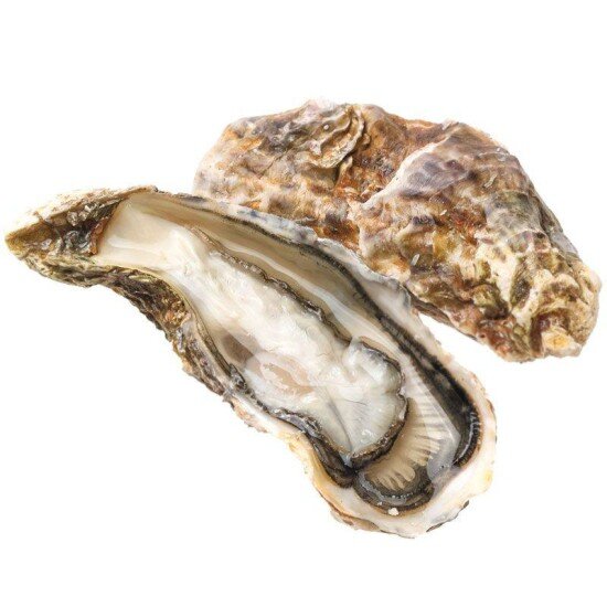 Устрица Сайон, Южная Корея