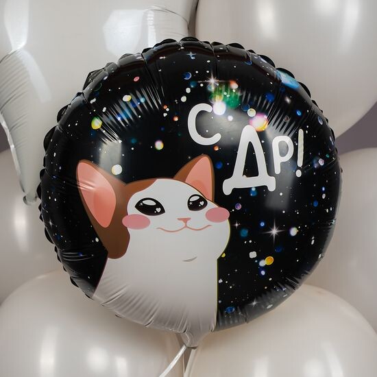 45 см, Круг, С ДР! (котик)