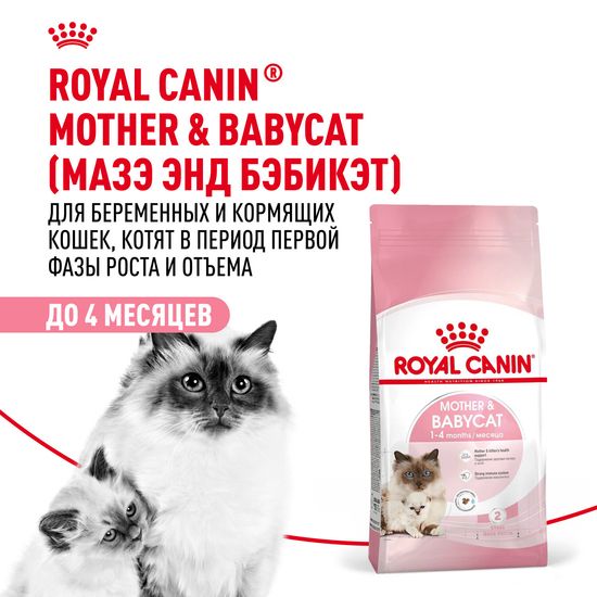 ROYAL CANIN Мазер Энд Бэбикет сухой корм для котят от 1 до 4 месяцев, беременных и кормящих кошек, 0,4 кг