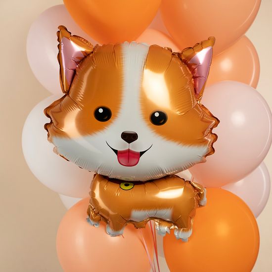 ≈ 66 см, Фигура, Щенок Корги