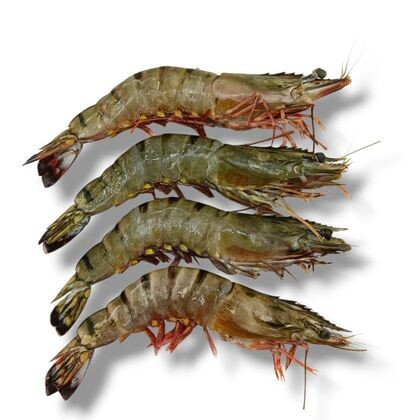 Креветка тигровая черная с/г 8/12, кг